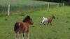 Bed & Breakfast Aux Greniers � R�ves