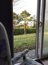 Mick's Cottage