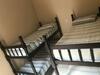 Casa P Temporada 2 Irm�os