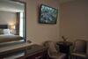 Hostal The Birches Killarney