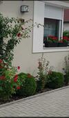 Margareta Home
