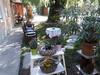 Hostal City Camping& Apartman &bungalow
