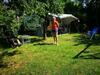 Hostal City Camping& Apartman &bungalow