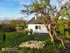 �gnes Alm�i �gnes Apples