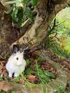 Recanto Das Orquideas