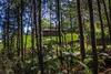 Lodge Pousada Bergen H�tten