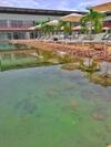 Apartamento Resort �le De Pipa Flat