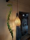Hotel Chal� Bem-te-vis