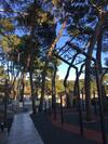 Apartman Mares