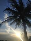 Apartamento Ap Boqueir�o Praia Grande