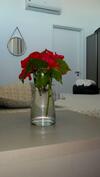 Apartamento Laguna Beach Flat Em Porto