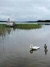 Gulbju M?ja - Swan House