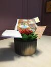 Apartamento Anexo Ipanema