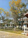 Hostal Recanto Da Paz Fyona