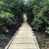 A Casa Concha Glamping Praia de Gravat�