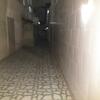 Apartamento Cantinho Da Beth�nia