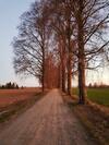 Bed & Breakfast Pilegrimsherberge Innomhaug