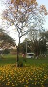 Hotel Fazenda Recanto Do Sossego