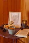 The Wooden Nest -covasna