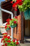 Hostal Casa Simon 3
