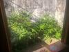 Casinha Centro Hist�rico