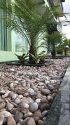 Hotel Rio