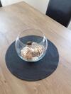 Apartman Jasa