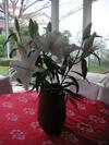 Bed & Breakfast Le Clos Pr�vinqui�res