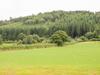 Callow Fold