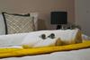 Stunning 3-bed Ground Floor Apartment In Coventry