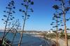 Casa Mediterr�neo