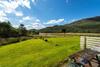 Capercaillie Cottage
