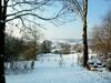 Bed & Breakfast Villa Witte Lelie