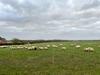 The Shepherds Retreat - Luxury Shepherds Hut