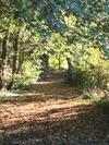 Bed & Breakfast Logis De Guitres - Chambres D'hotes