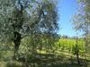 Agroturismo Bello Stare Charming Retreats