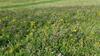 Apartamento 10 Melbost Borve