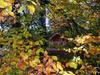 Bed & Breakfast Chambres D'h�tes La Gargaille