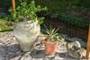 Apartamento Haus Am Bach
