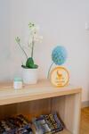 Apartamento Souto Dreams