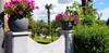 Apartments Villa Bazilika