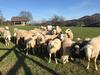 Agroturismo Tourist Farm Artisek