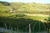 Agroturismo Farm Stay Jarc Vineyard