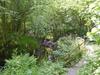 Beech Lodge