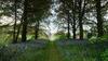 Agroturismo Ballylough House