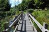 Hotel South Downs Eco Lodge & Camping