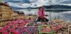 Uros Waliski Lodge
