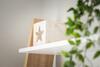 River Retreat Apartment Exeter