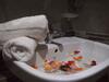 Hotel H�tel Zahrat Souss -inezgane