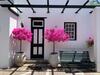 Bed & Breakfast De Wingerd B & B